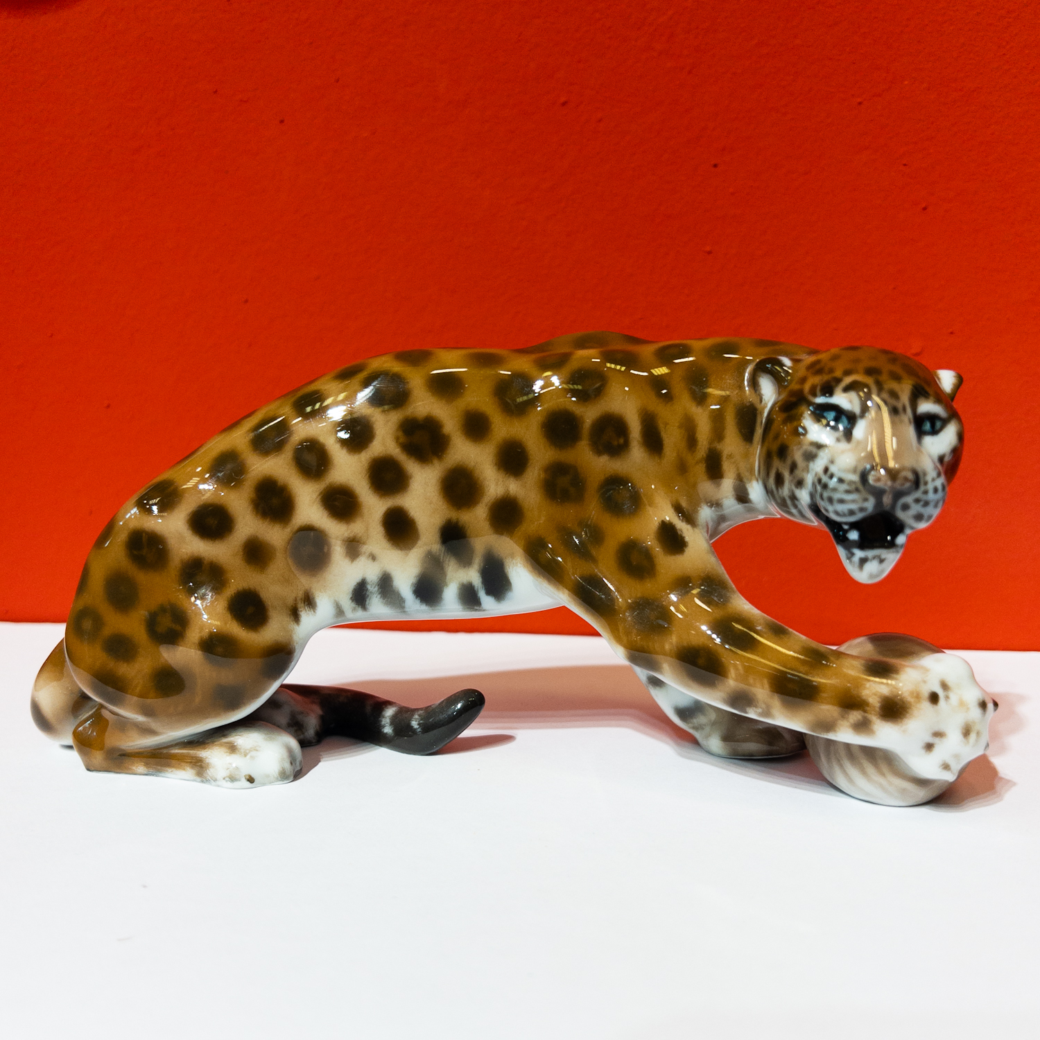 Rosenthal, Gerhard Schliepstein, Leopard s míčem
