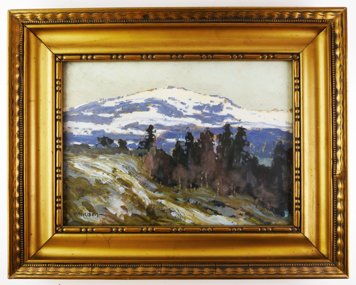 Jaroslav Panuška – Horská krajina