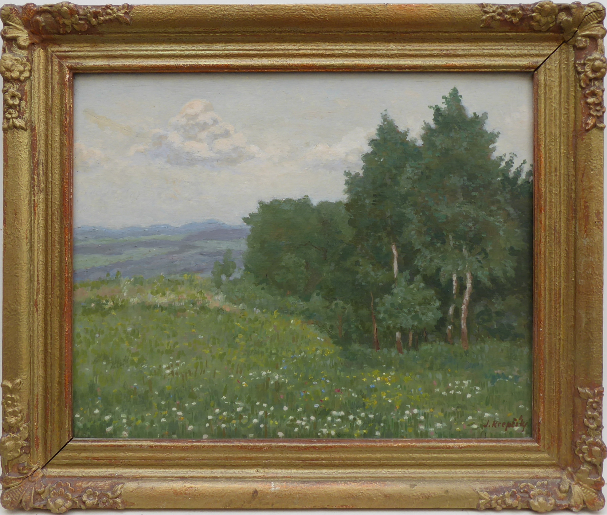 Krepčík Jaroslav – Kvetoucí louka u remízku